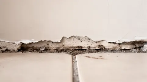 Wykończenie płytek podłogowych przy ścianie